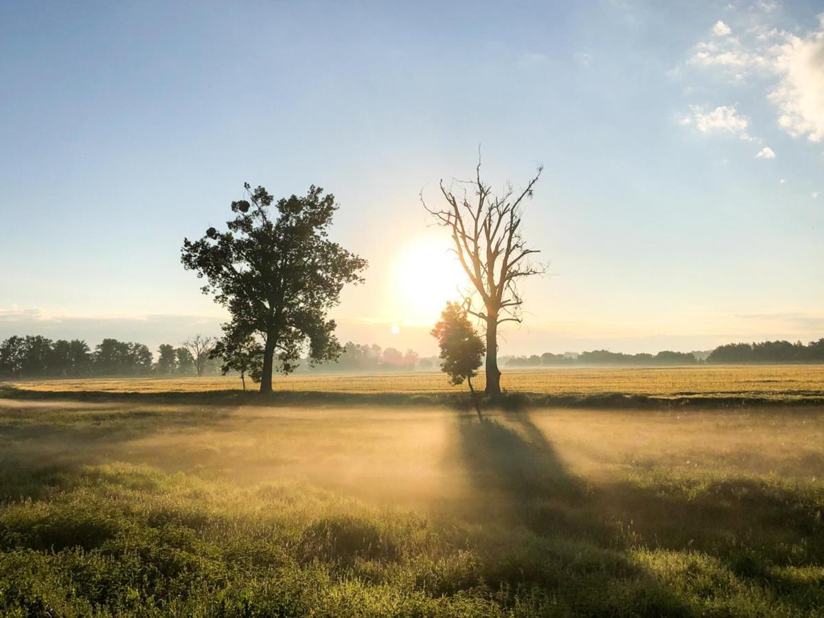 Dwor Gogolewo Nad Warta Bed and Breakfast Ksiaz Wielkopolski Buitenkant foto