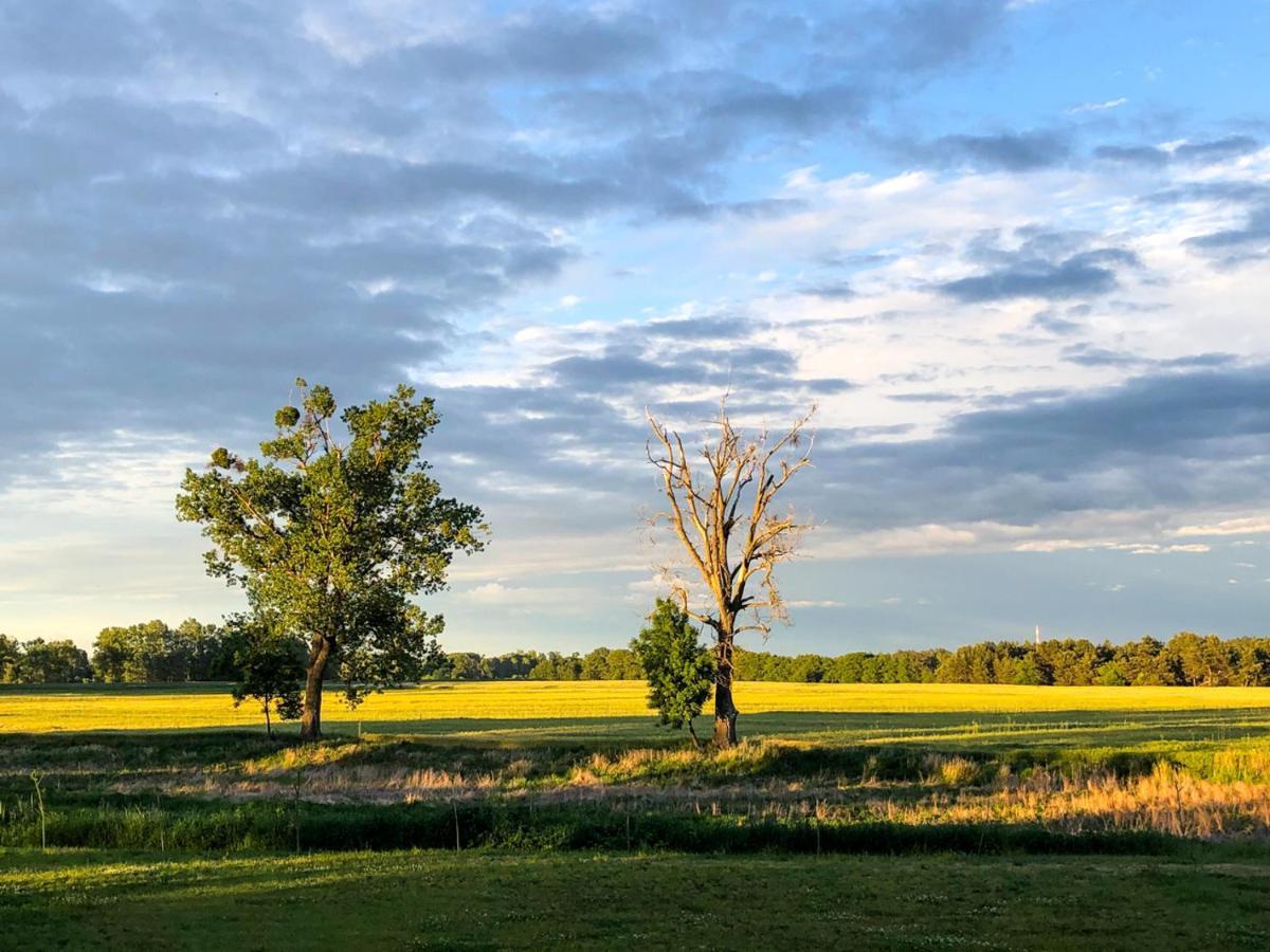 Dwor Gogolewo Nad Warta Bed and Breakfast Ksiaz Wielkopolski Buitenkant foto
