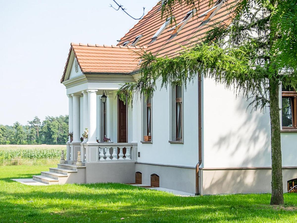 Dwor Gogolewo Nad Warta Bed and Breakfast Ksiaz Wielkopolski Buitenkant foto