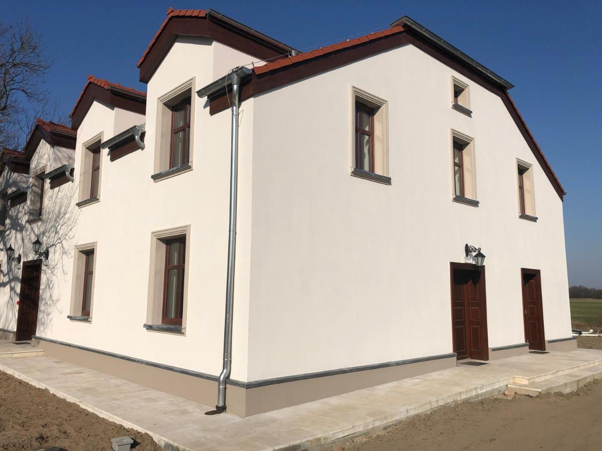 Dwor Gogolewo Nad Warta Bed and Breakfast Ksiaz Wielkopolski Buitenkant foto